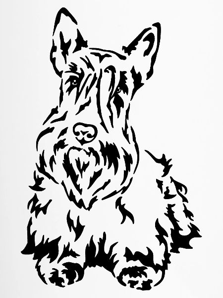 Terrier