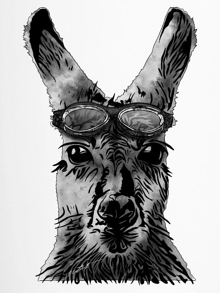 Känguru