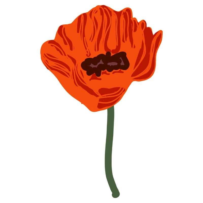 coquelicots à fleurs rouges