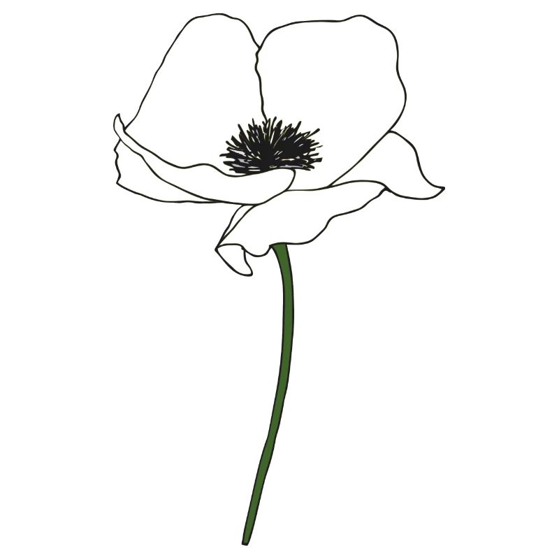 mohnblume weiss