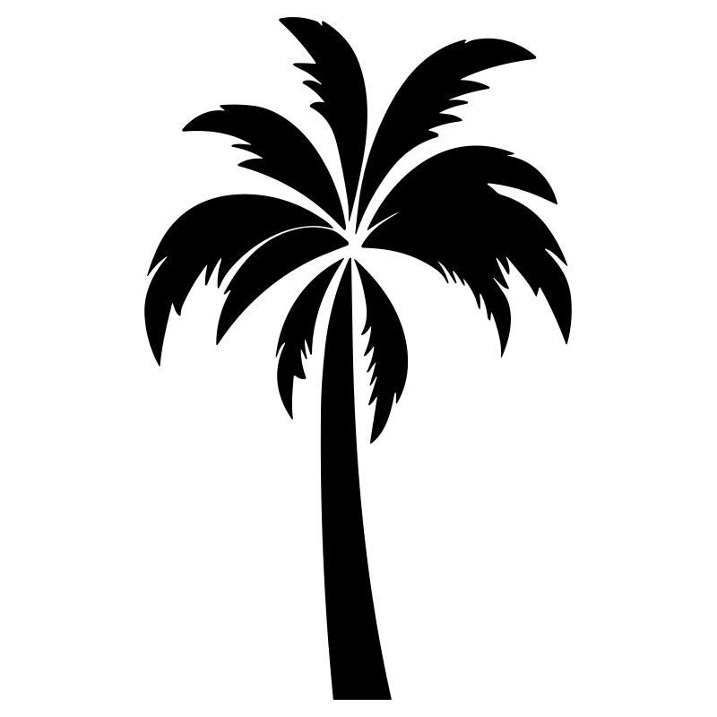 palm tree