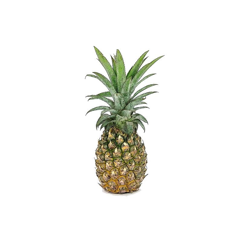 Ananas | Pineapple