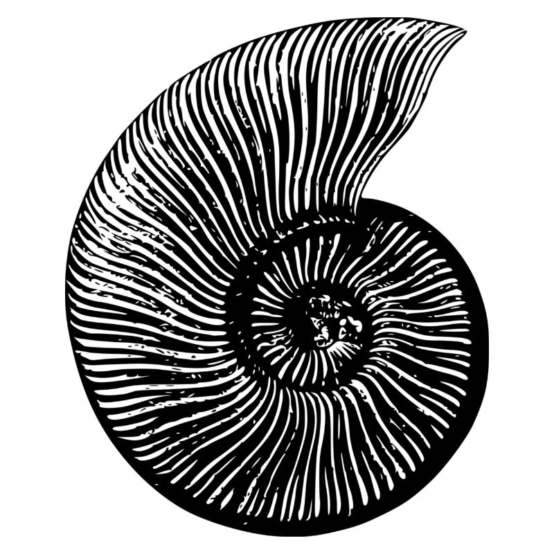 fossile