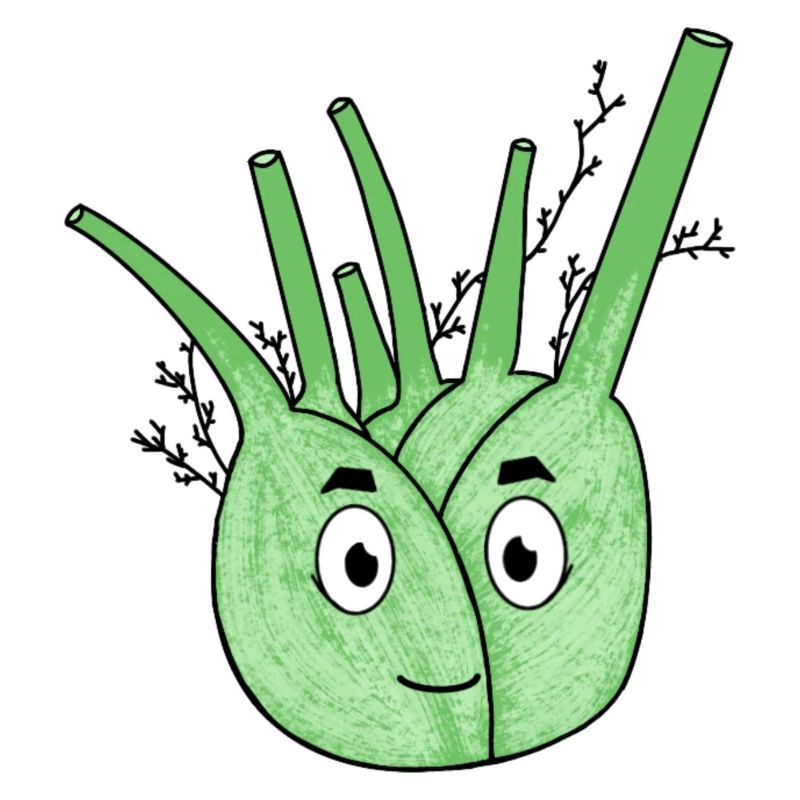 Fennel