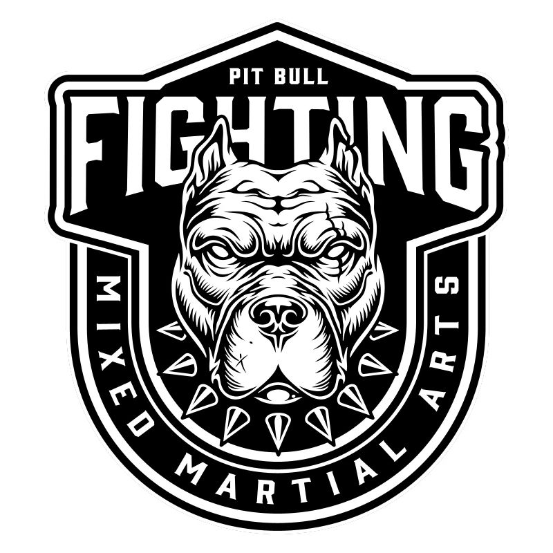 Fighting mma