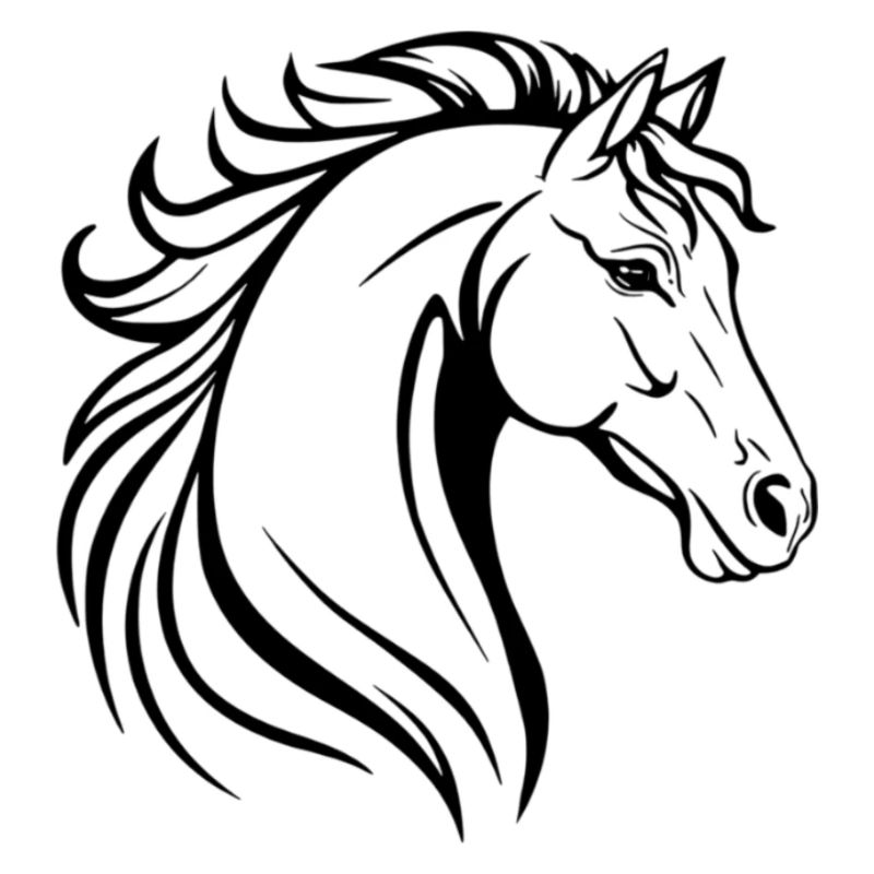 Pferd Illustration