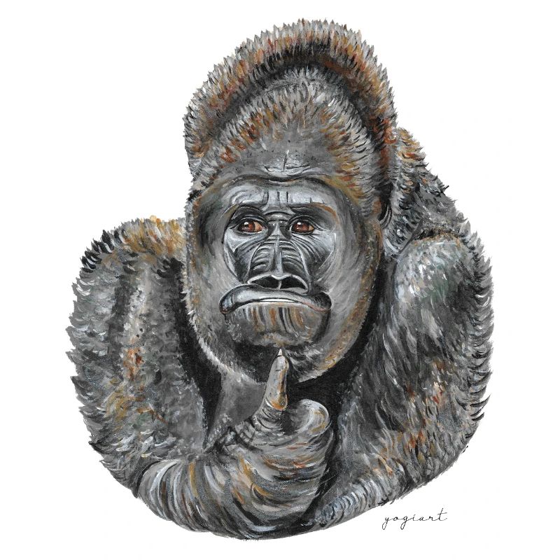 Gorilla