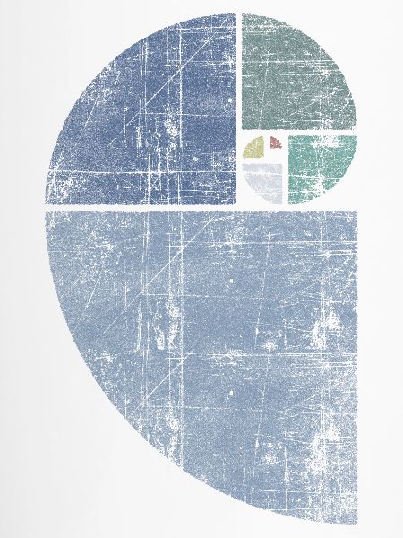 Distressed Fibonacci Spirale