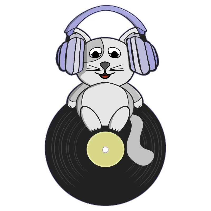 Chaton nostalgique qui aime les disques vinyles