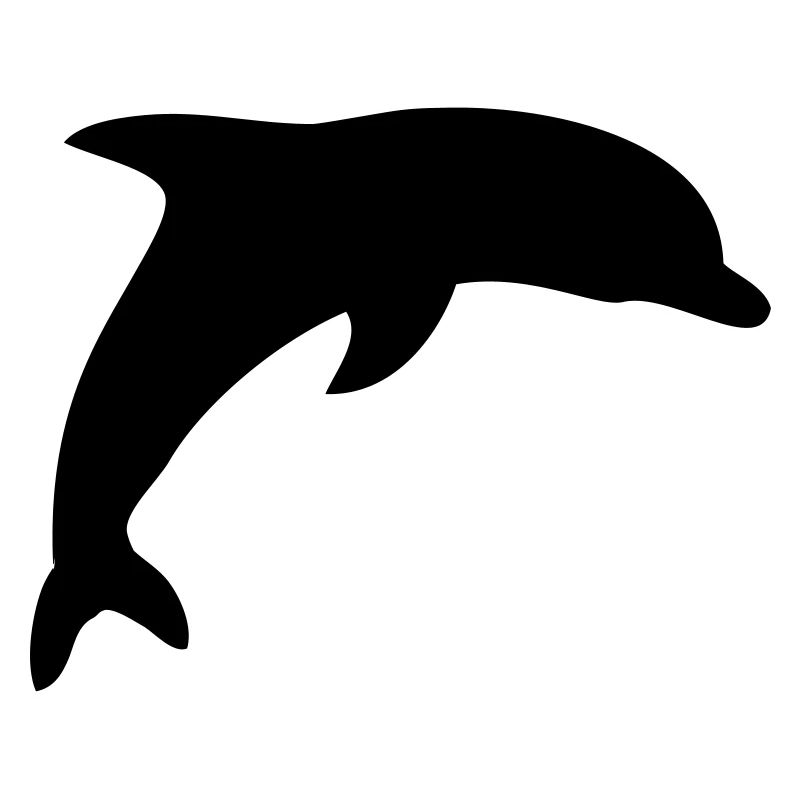 dolphin