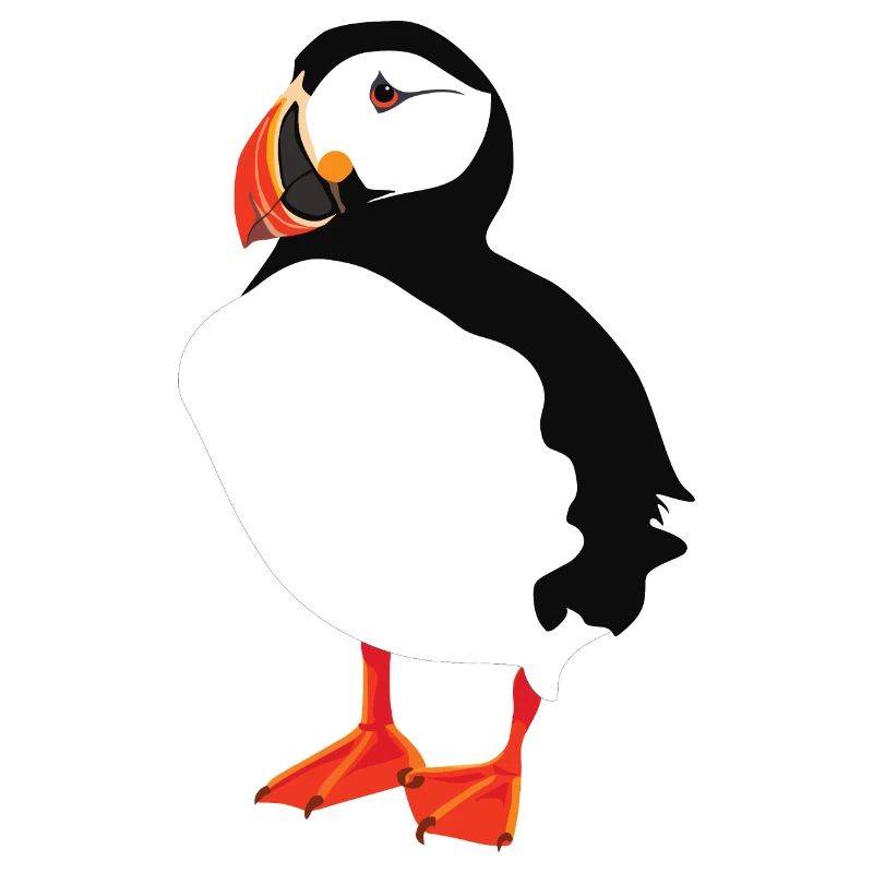 Puffin Solo