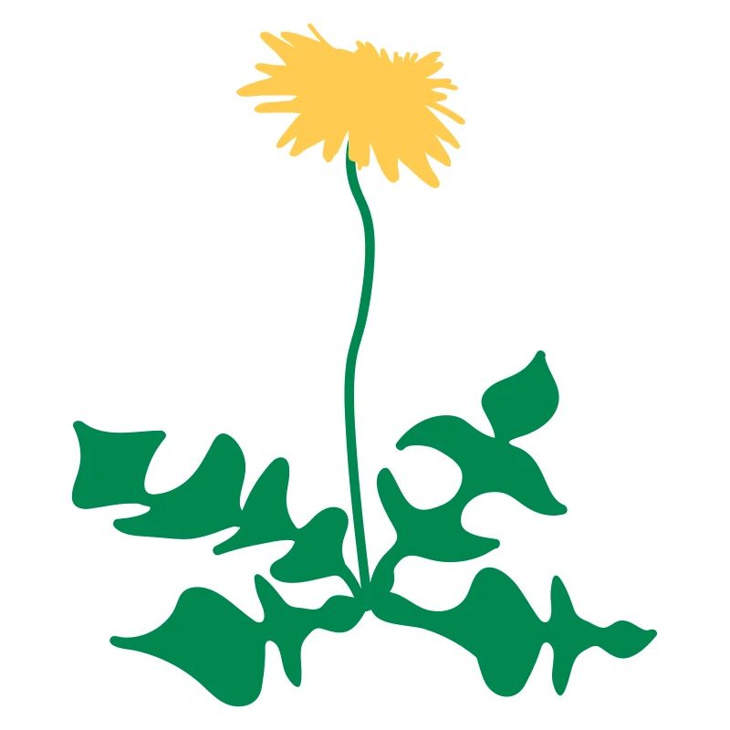 dandelion