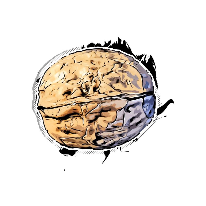 Walnut