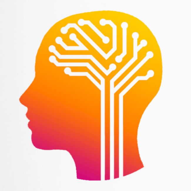 BrainFlow Logo
