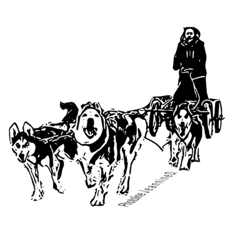 Musher Husky