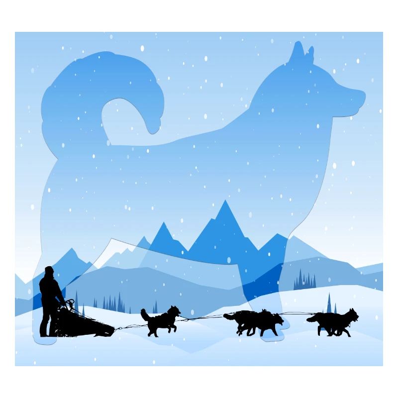 sled dogs