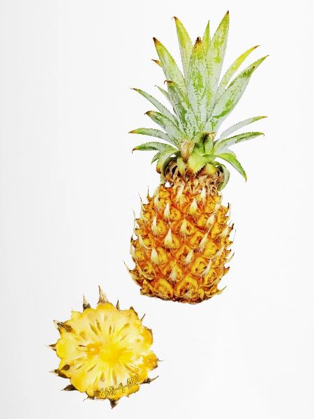 Ananas
