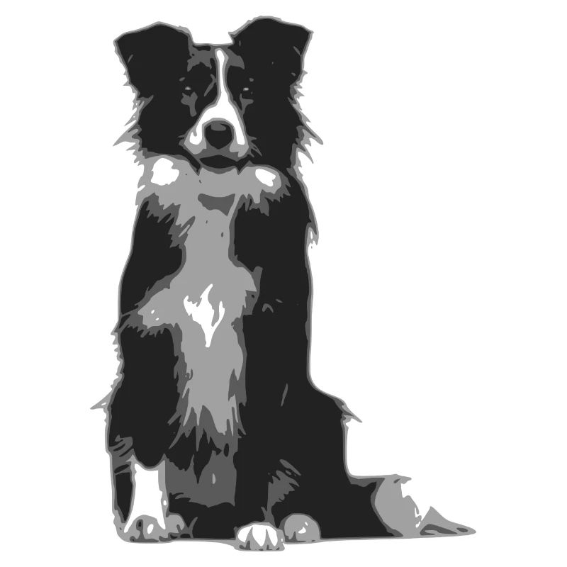 Silhoette border collie