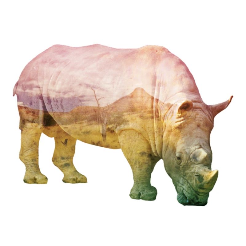 Nashorn