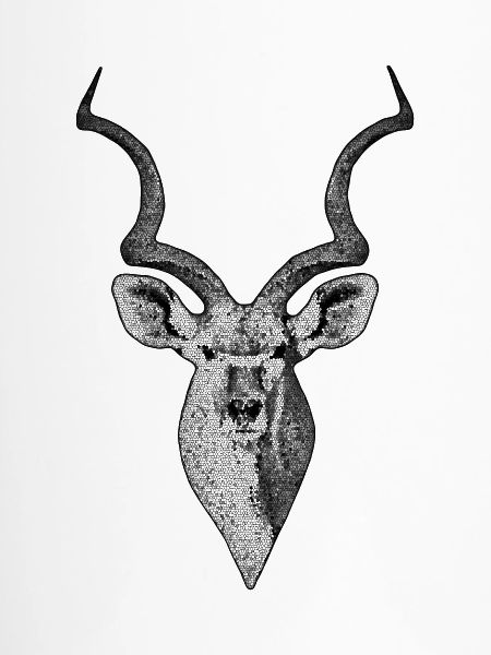 Kudu