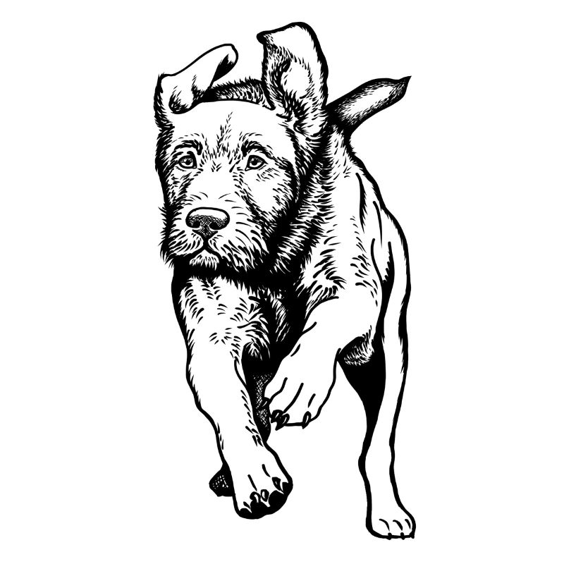 Jagdhunde-Aktion