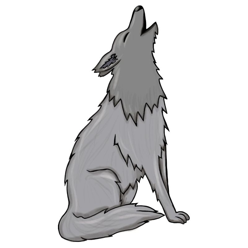 Wolf
