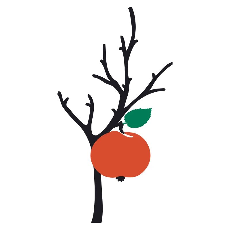 Apfelbaum apple tree