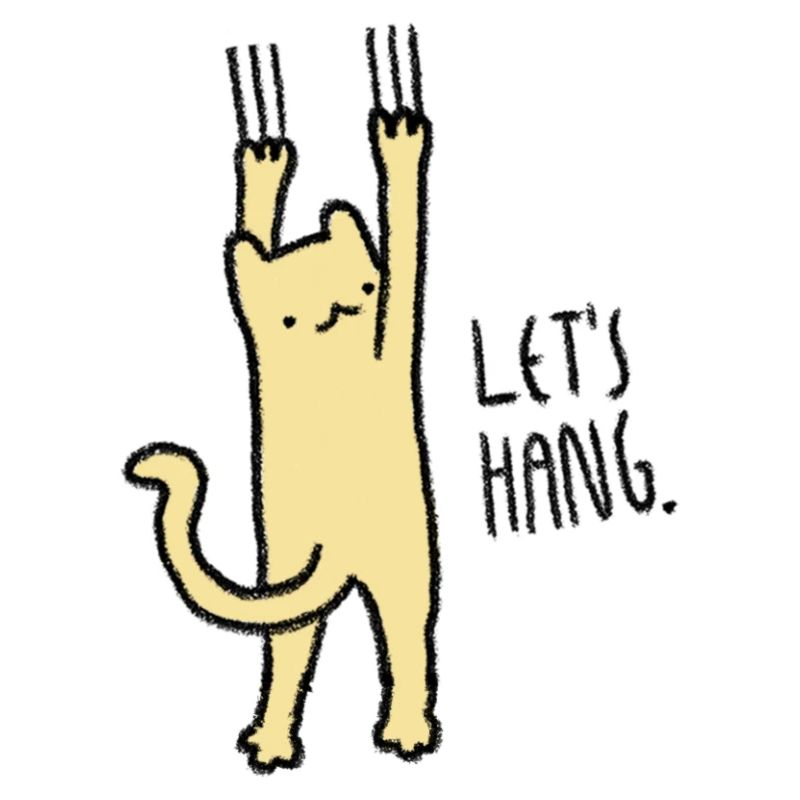 Chat - Gueule de bois - Chats - Sortons!