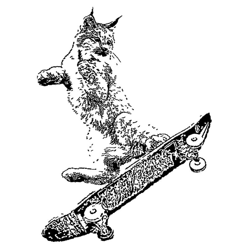 Lynx