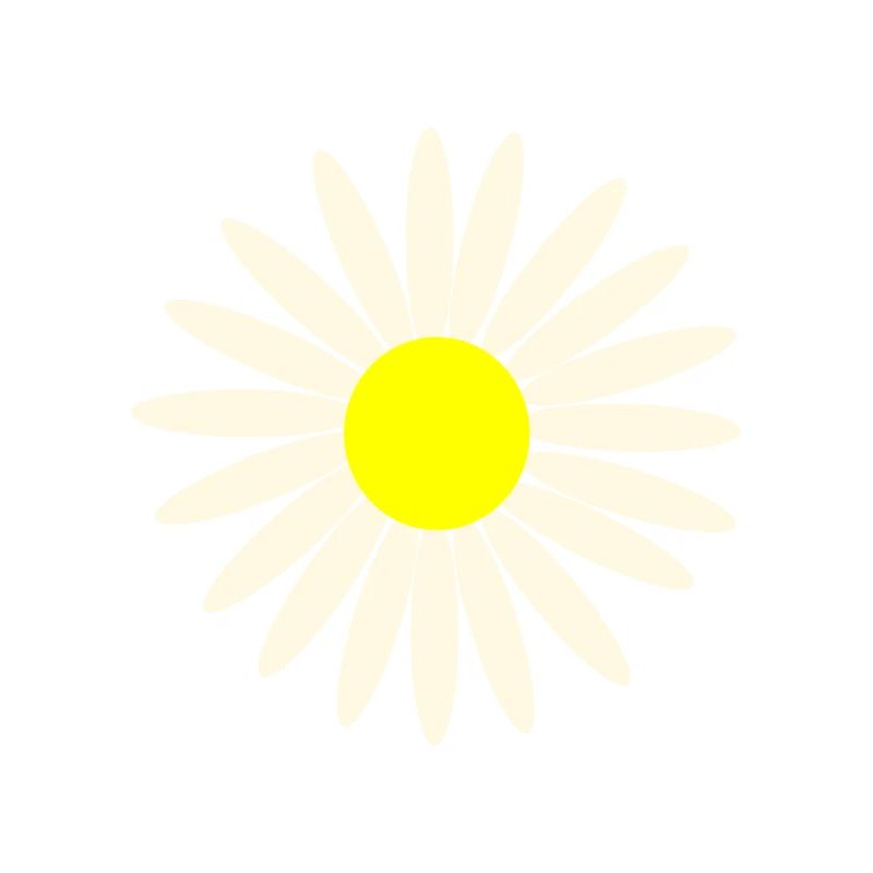 daisy