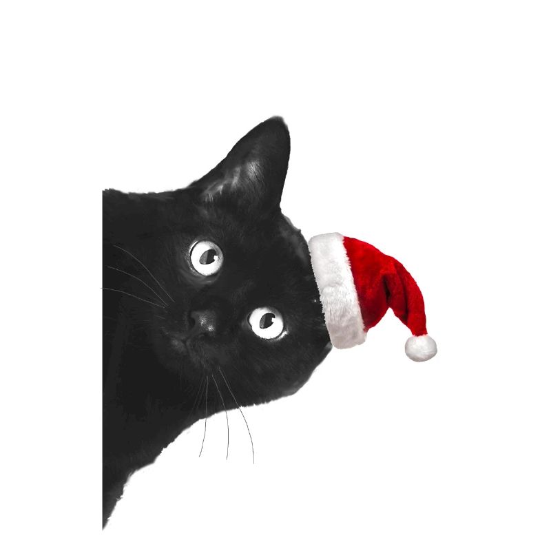 Chat de noel