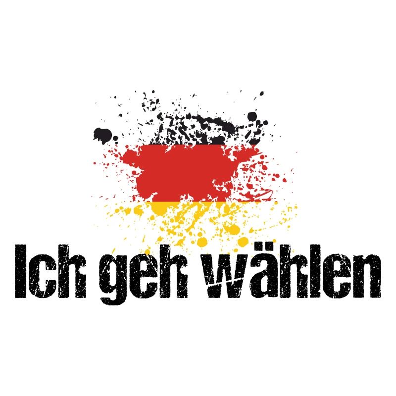 ich geh wählen
