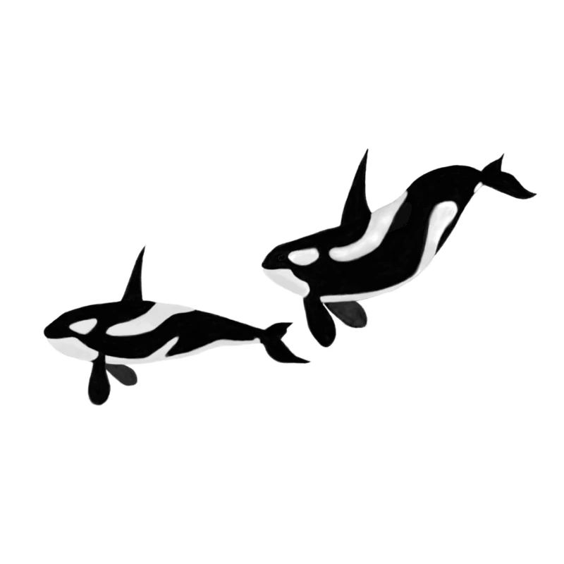 Orcas