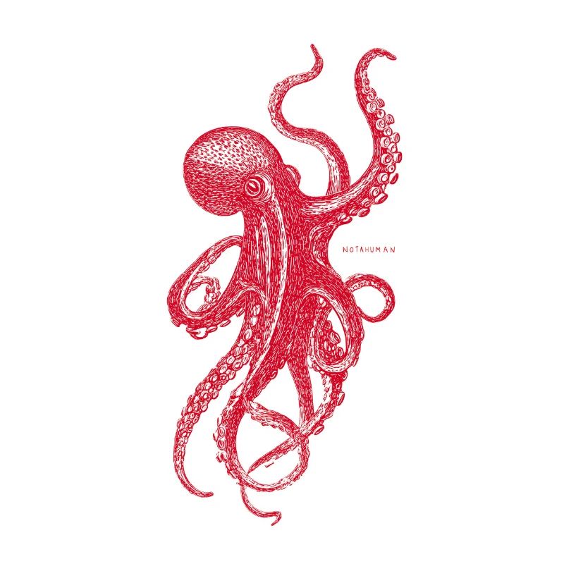 Roter Oktopus 