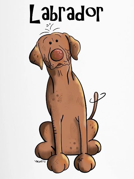 Lustiger Labrador
