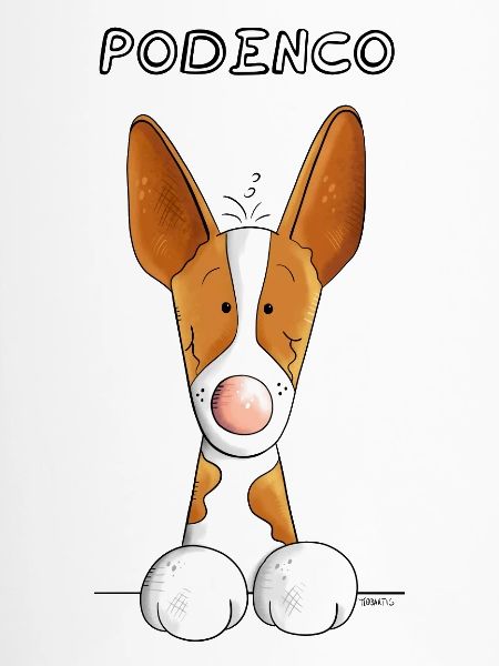 Abenteuerlustiger Podenco