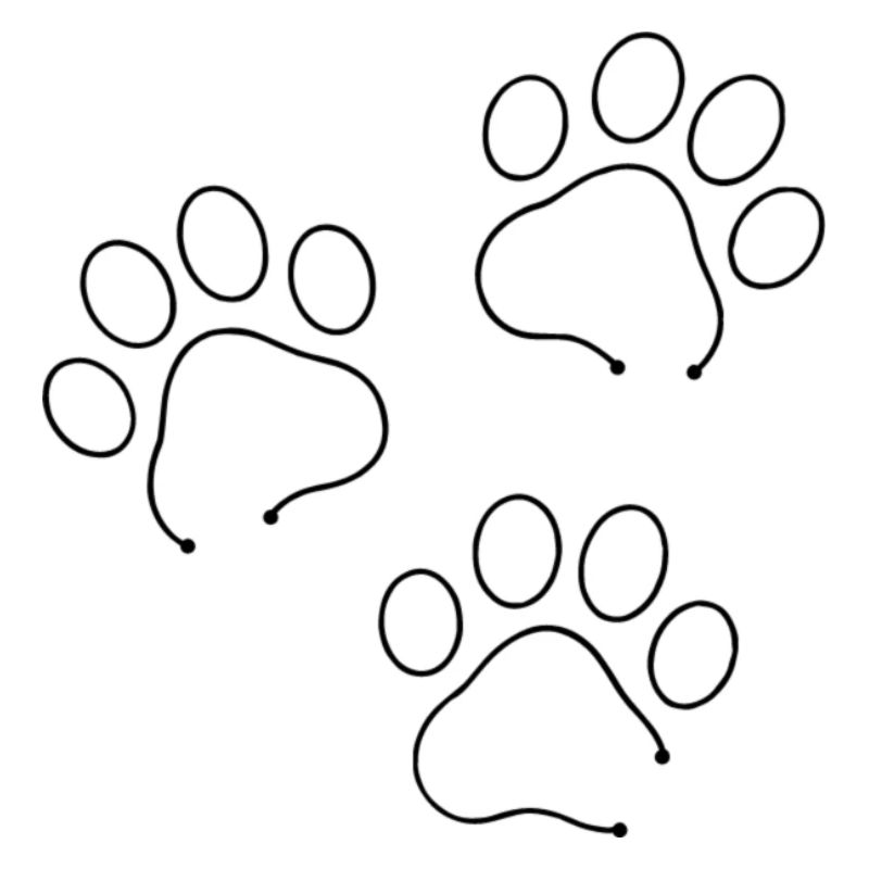 Tierpfoten