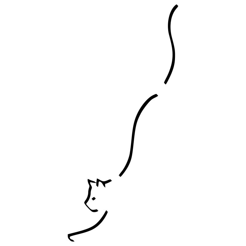 Silhouette de chat