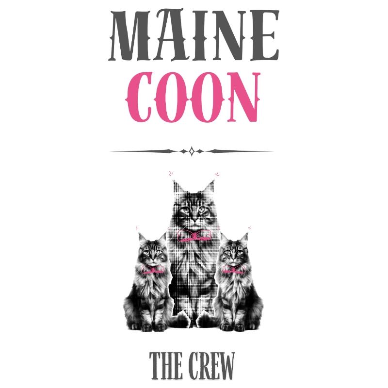 Maine Coon - Die Crew
