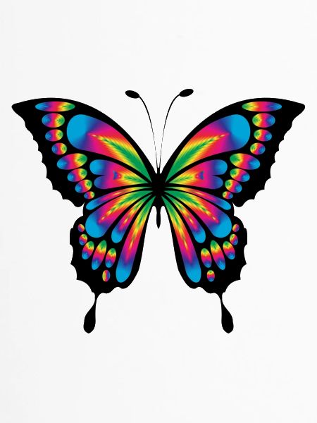 Schmetterling bunt