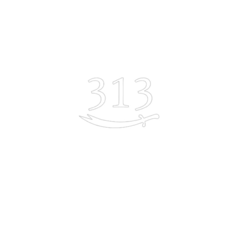 313