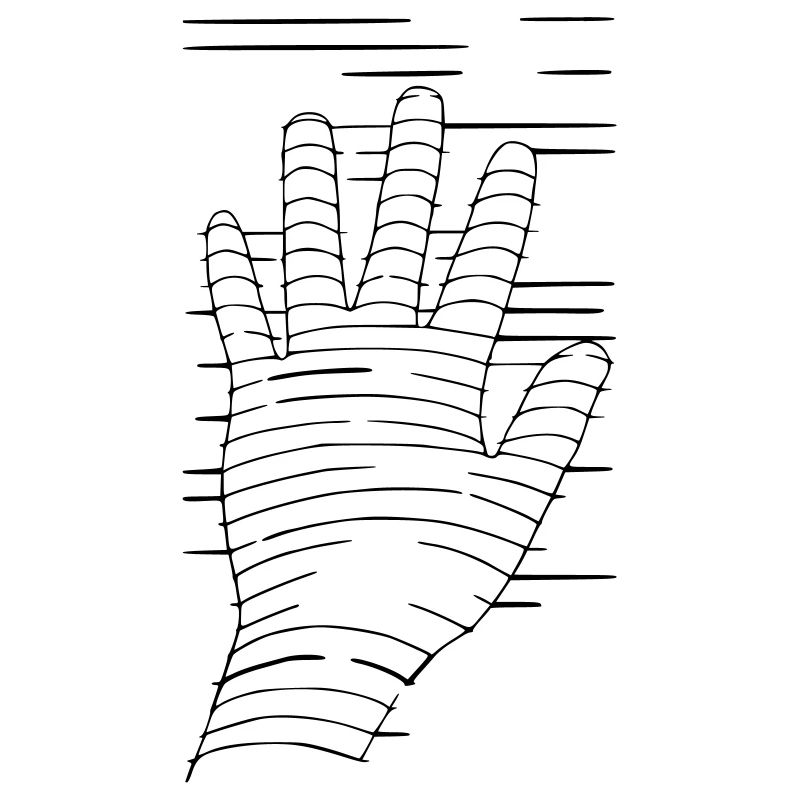 Eigene Hand