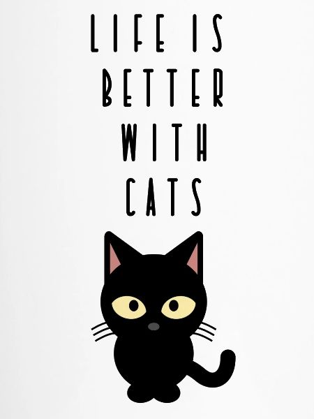 Katze
