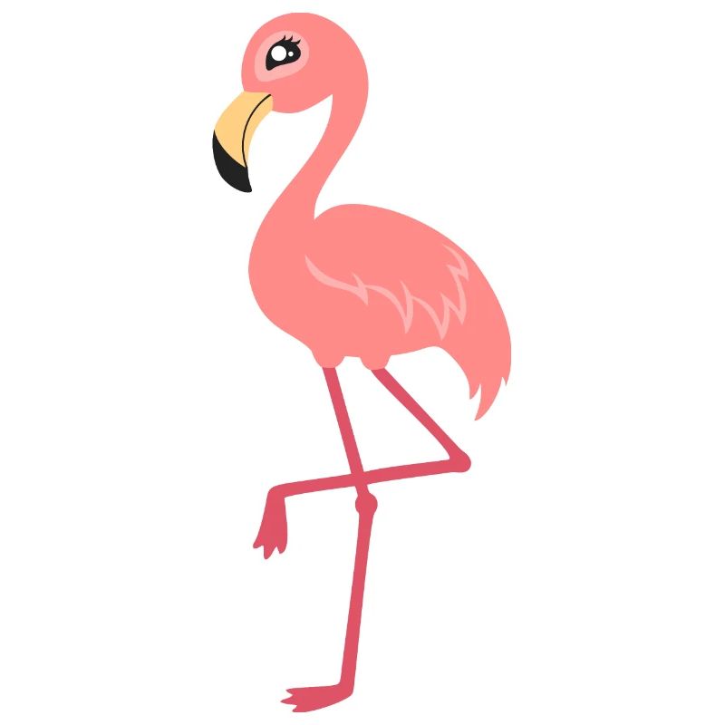 flamingo