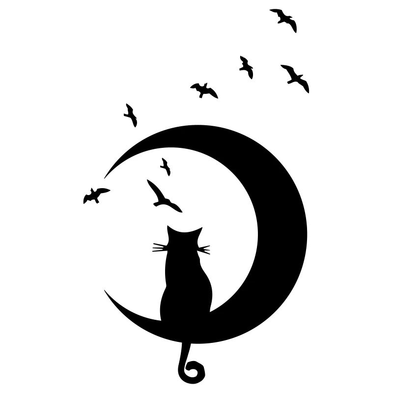 CAT ON MOON