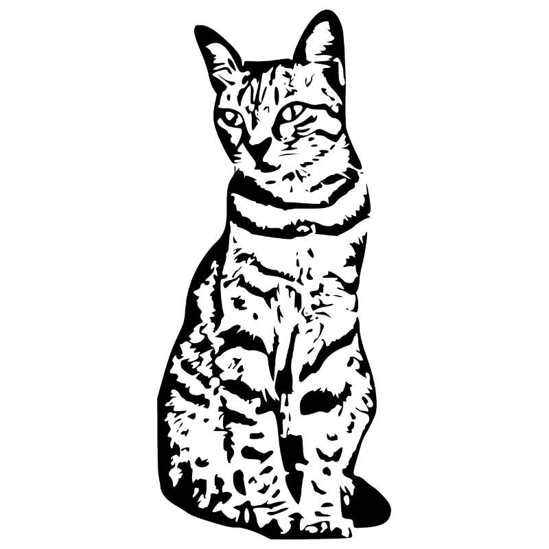 Katze Katzen Kätzchen Katzenshirt Geschenk