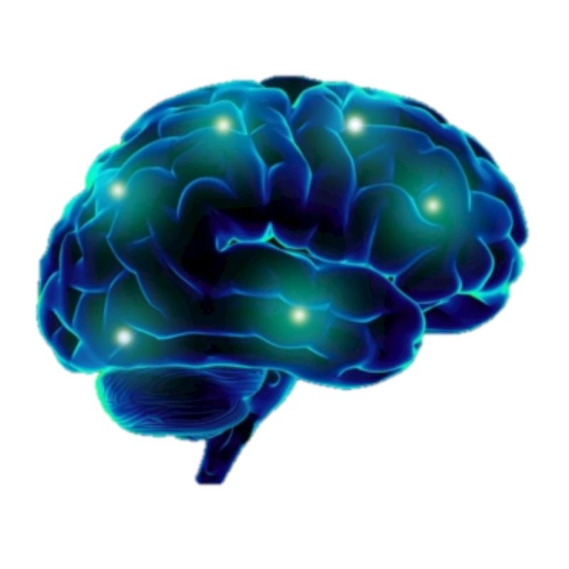 Brain brain blue neurons pathways smart