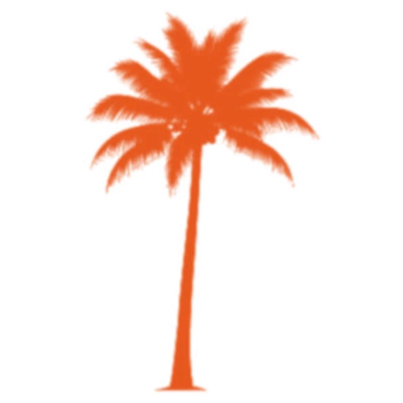 Sunset palm tree silhouette