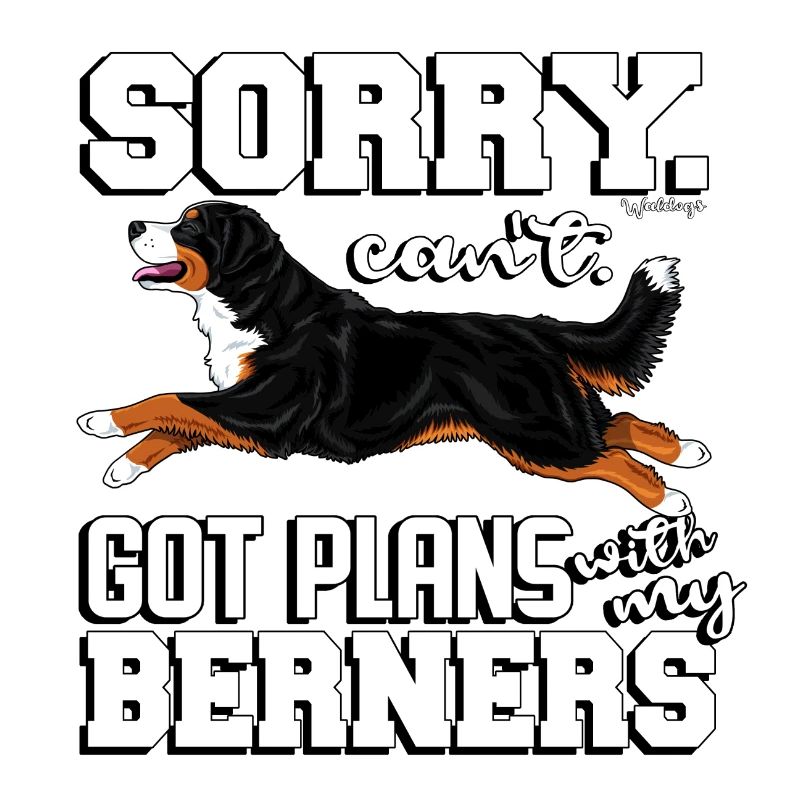 Bernese Berner Plans 2