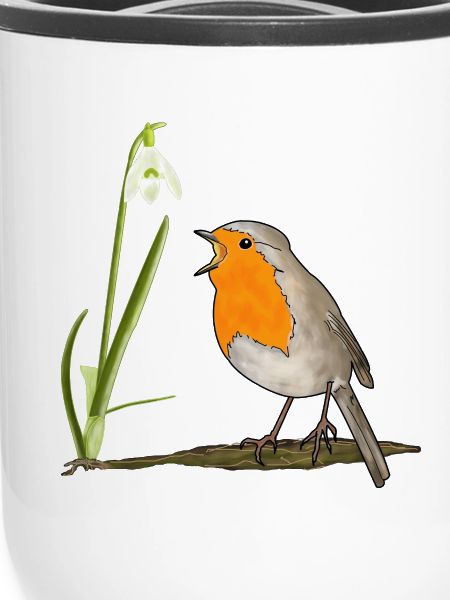 Frühling, Rotkehlchen, Schneeglöckchen